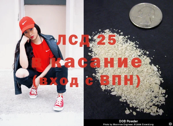 прущие грибы Балахна