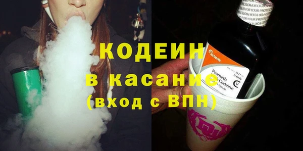 прущие грибы Балахна