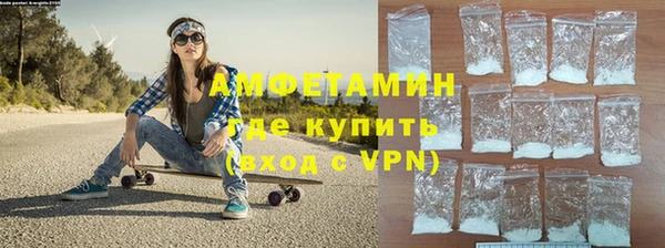 прущие грибы Балахна