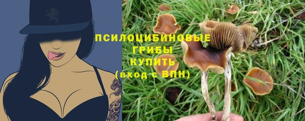 ALPHA-PVP Аркадак