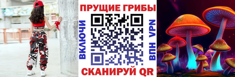 Галлюциногенные грибы GOLDEN TEACHER  купить  сайты  mega ТОР  Шацк 
